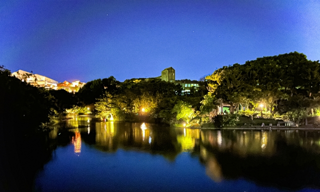 夜の龍潭